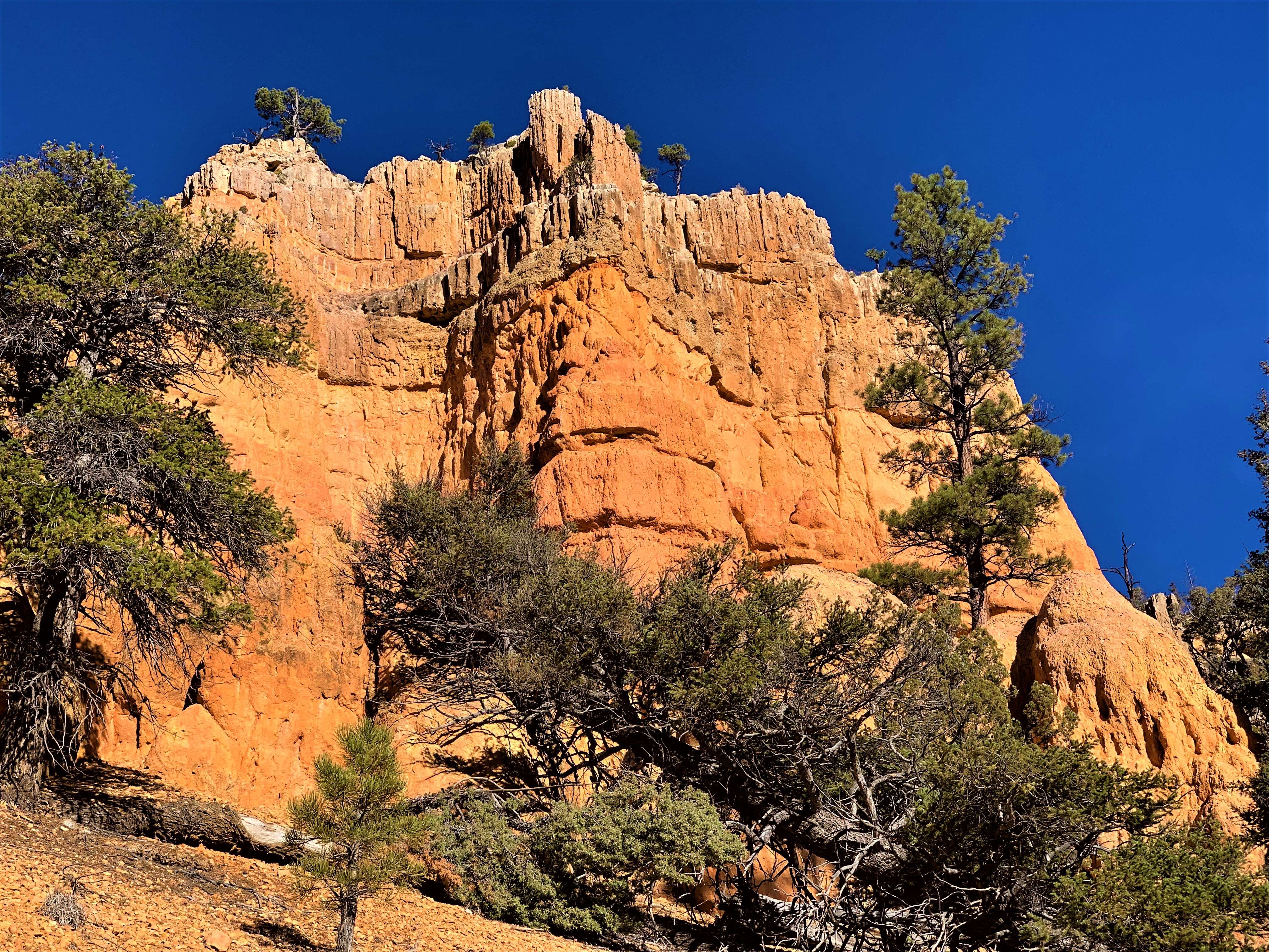 Red Canyon